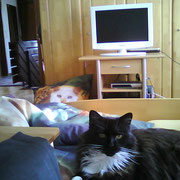 Oh welch ein Wunder......Moonchen schaut in die Kamera!!!!!