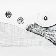 Universum - Lithographie