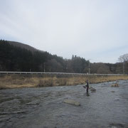 餌釣りのみなさん　快調な釣果