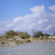 Elafonissi - Les dunes, zone protégée.