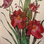 Orchideen, Aquarell auf Papier, 40x50