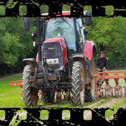 Binage des betteraves à Wiencourt-l'Équipée (Hauts de France - Somme)