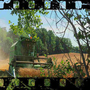 Moisson à Essuiles (dép60 - Ven10/07/2026)