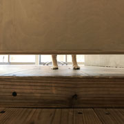 ドッグサロンシーリー　DOGSALONSEALY　表参道　外苑前　南青山　神宮前　青山　トリミングサロン　射手今日子　トイプードル