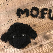 DOG SALON SEALY　ドッグサロンシーリー　港区　表参道　南青山　外苑前　トリミングサロン　トイプードル　射手今日子