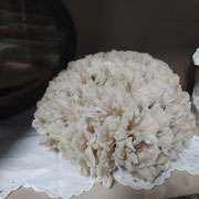 corail