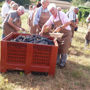 Vignerons en action