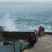 Le port-abri de Bestrée à la Pointe du Raz