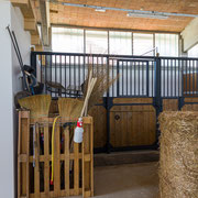 Fotografia a colori della scuderia ed allevamento equino GV Stable, Stal Gibello | Alessandro Tintori