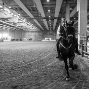 Fotografia equestre a Fiera Cavalli Verona | Alessandro Tintori