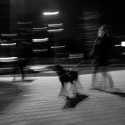 Fotografia in bianco e nero di Ilaria Carluccio e Willy il figo | Alessandro Tintori