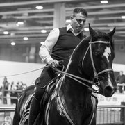 Fotografia equestre a Fiera Cavalli Verona | Alessandro Tintori
