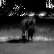 Fotografia in bianco e nero di Ilaria Carluccio e Willy il figo | Alessandro Tintori