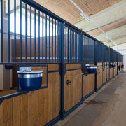Fotografia a colori della scuderia ed allevamento equino GV Stable, Stal Gibello | Alessandro Tintori