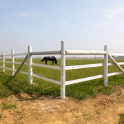 Fotografia a colori della scuderia ed allevamento equino GV Stable, Stal Gibello | Alessandro Tintori