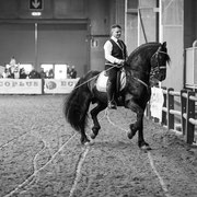 Fotografia equestre a Fiera Cavalli Verona | Alessandro Tintori