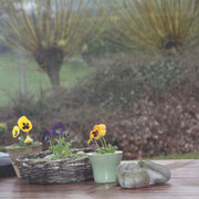 Terrace in the rain