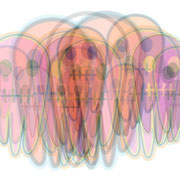 Spectrum 100 x 160cm R.K. 2012