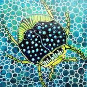 15 x 15 cm