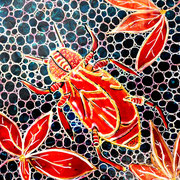 15 x 15 cm