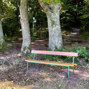 Un nouveau banc sur la Grossmatt (sentier des Pèlerins)