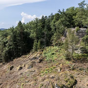 Dégagement de la vue du Maennelstein