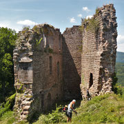 Nettoyage châteaux du Dreistein