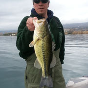 Godys 53 cm Black Bass von Bolsena