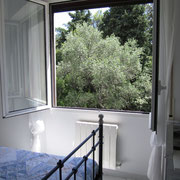 Vista sul parco