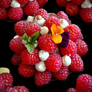 Himbeerigel: Himbeermousse, Himbeerkern im Schoggi/Nougatmantel und Himbeeren