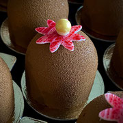 Schoggimousse-Törtchen