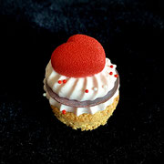 Himbeermousse auf Haselnussbiskuit