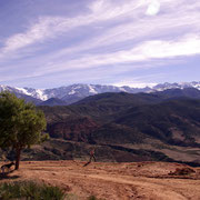 marokko - marrakesch - incentive reisen incentive agentur - Marokko - Marrakesch - maroc - atlas gebirge - Mittelmeer - Strand - Segelschiffe - Meeting-Incentive-Conference-Events - Mitarbeitermotivation - Teambuilding - Veranstaltung -