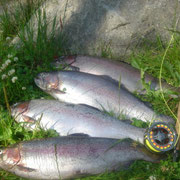 Schweden - Stockholm - Morrum - fliegenfischen - flz fishing - lachs salmon - sud schweden - malmo - incentive reisen incentive agentur - Meeting-Incentive-Conference-Events - Mitarbeitermotivation - Teambuilding - Veranstaltung