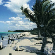 Cuba - Havanna - cigar - alejandro robaina - varadero - vinales - zigarren - tabak - tabac - rum - Ernest Hemingway - mojito - incentive reisen incentive agentur - Meeting-Incentive-Conference-Events - Mitarbeitermotivation - Teambuilding - Veranstaltung