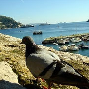 Dubrovnik - Incentive Reise