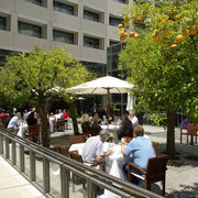Barcelona - Antonio Gaudi - Meeting & Incentive Reise - Tapas - La Rambla - Cava -