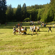 vehikelbau wettrennen