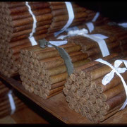 Cuba - Havanna - cigar - alejandro robaina - varadero - vinales - zigarren - tabak - tabac - rum - Ernest Hemingway - mojito - incentive reisen incentive agentur - Meeting-Incentive-Conference-Events - Mitarbeitermotivation - Teambuilding - Veranstaltung