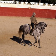 Andalusien - Sancti Petri - Cadiz - Costa de la Luz