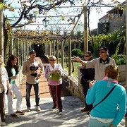 Dubrovnik - Incentive Reise