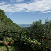 Italien - Toskana - Bauernhof - Pisa - Florenz - Style - Adria - Trueffel - Weinreise - Meeting-Incentive-Conference-Events - Mitarbeitermotivation - Teambuilding - Veranstaltung -