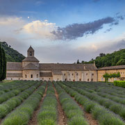 Abbaye de Sénanque