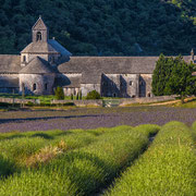 Abbaye de Sénanque