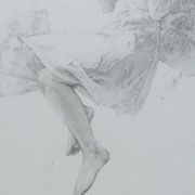 effleurée - graphite sur papier marouflé- 120cm x 60cm