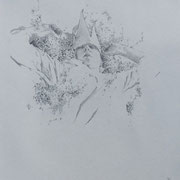 hortense #7 - dessin sur papier - 65cm x 50cm