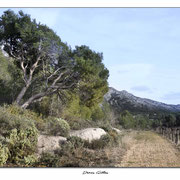 Alpilles