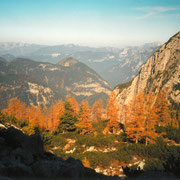 Gamsjagd am Dachstein 2001