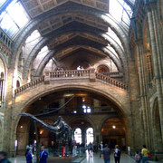 Museo de ciencias naturales. Londres. junio 2011