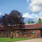 Sportstall